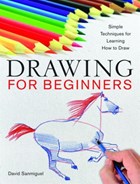 Drawing for Beginners | David Sanmiguel | 