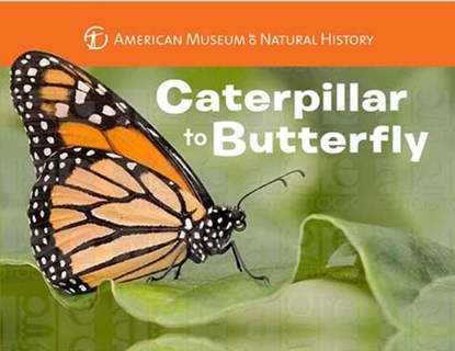 Caterpillar to Butterfly, American Museum of Natural History ; Melissa Stewart - Gebonden - 9781454914068