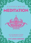 A Little Bit of Meditation | Amy Leigh Mercree | 