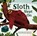 Sloth Slept on, Frann Preston-Gannon - Gebonden - 9781454934493