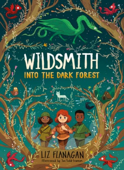 Into the Dark Forest, Liz Flanagan - Paperback - 9781454956419
