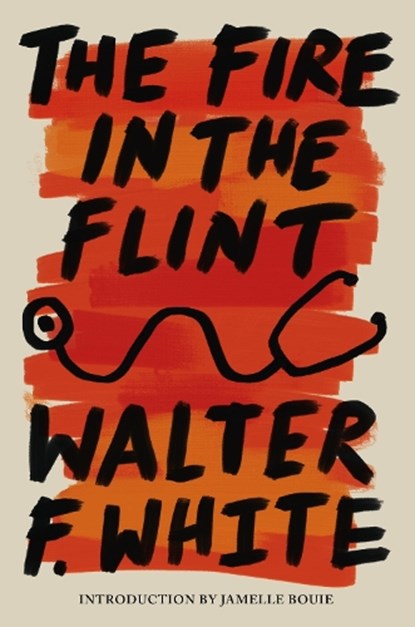 The Fire in the Flint, Walter White F - Paperback - 9781454957447