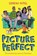 Picture Perfect, Serena Patel - Paperback - 9781454962755