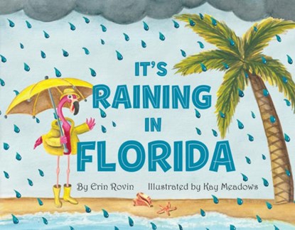 It's Raining in Florida, Erin Rovin - Gebonden - 9781455627905