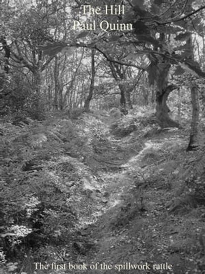 The Hill, Paul Quinn - Ebook - 9781458058256