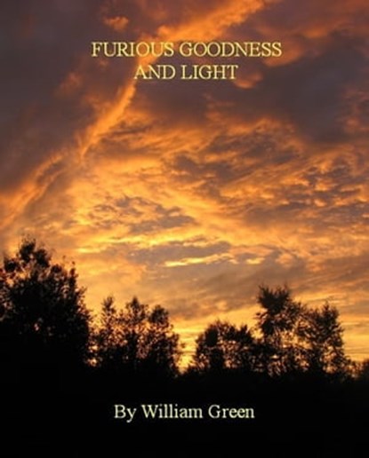 Furious Goodness and Light, William Green - Ebook - 9781458094896