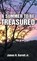 A Summer to Be Treasured, James H Barrett Jr - Overig - 9781458213570