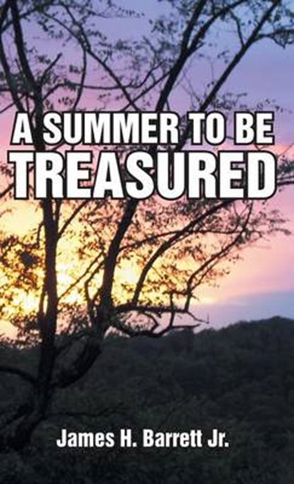 A Summer to Be Treasured, James H Barrett Jr - Overig - 9781458213570
