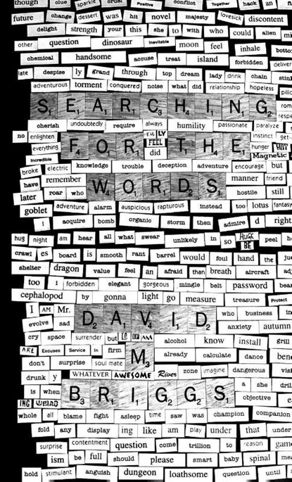 Searching for the Words, David M Briggs - Paperback - 9781458324511