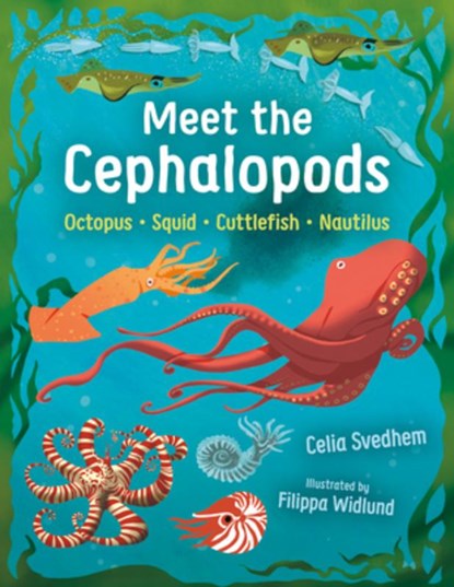 Meet the Cephalopods: Octopus, Squid, Cuttlefish, Nautilus, Celia Svedhem - Gebonden - 9781459841239