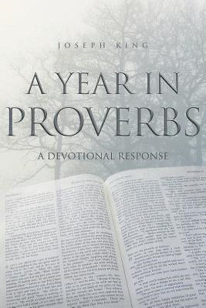 A Year in Proverbs, Joseph King - Paperback - 9781460002841