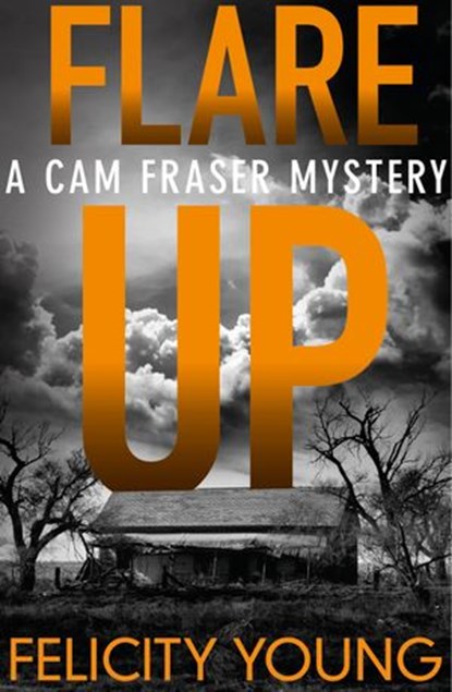 Flare-up, Felicity Young - Ebook - 9781460706251