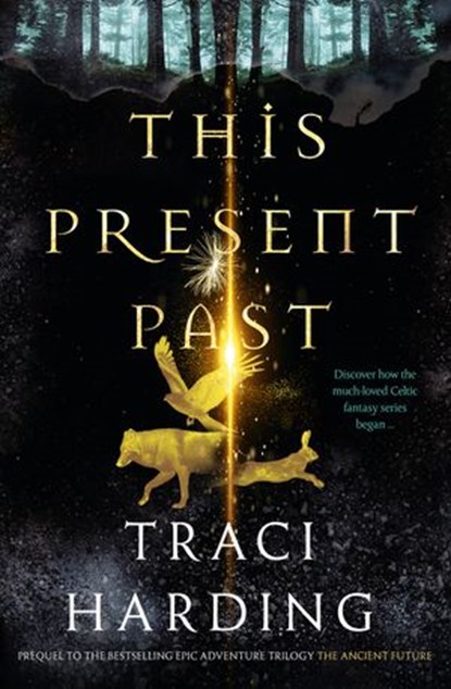 This Present Past, Traci Harding - Ebook - 9781460708101