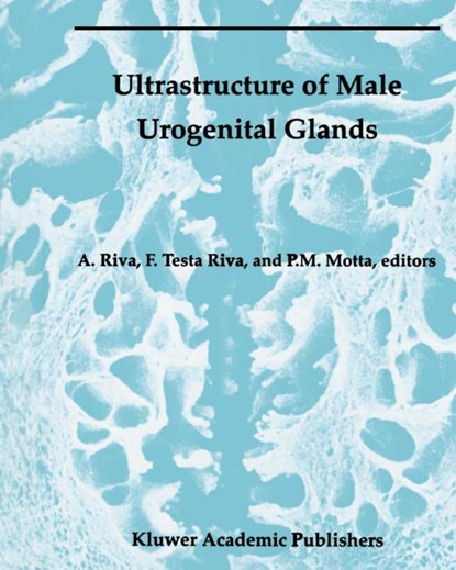 Ultrastructure of the Male Urogenital Glands, Allessandro Riva ; Francesca Testa Riva ; P. Motta - Paperback - 9781461361251