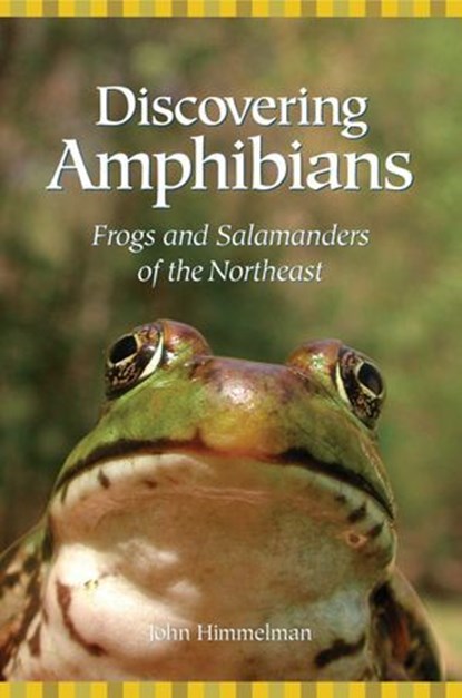 Discovering Amphibians, John Himmelman - Ebook - 9781461745075