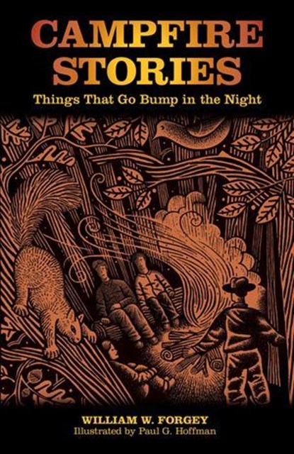 Campfire Stories, William W. Forgey M.D. - Ebook - 9781461748090