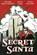 Secret Santa, BENNETT,  Richard Grant ; Clark, Bryce ; deVilliers, Jason - Gebonden - 9781462117390