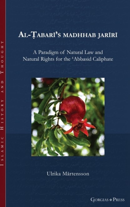 Rule of Law, 'Natural Law', and Social Contract in the Early 'Abbasid Caliphate, Ulrika Martensson - Gebonden - 9781463206499