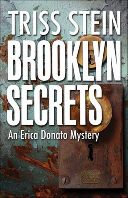 Brooklyn Secrets, Triss Stein - Ebook - 9781464204135