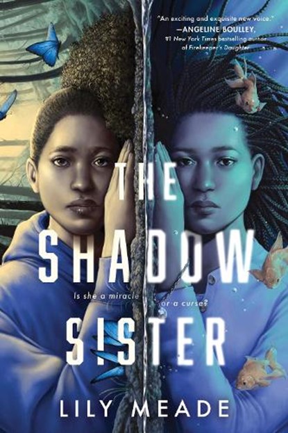 The Shadow Sister, Lily Meade - Paperback - 9781464218484