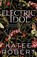 Electric Idol, Katee Robert - Paperback - 9781464228261