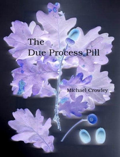 The Due Process Pill, Michael Crowley - Ebook - 9781465780348