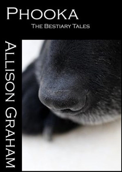 Phooka, Allison Graham - Ebook - 9781465817662