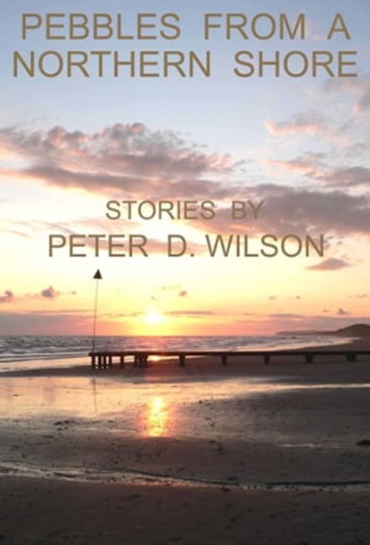 Pebbles from a Northern Shore, Peter D Wilson - Ebook - 9781465824813