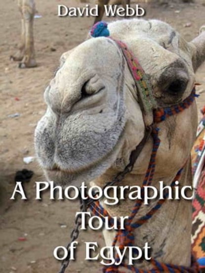 A Photographic Tour of Egypt, David Webb - Ebook - 9781465965387