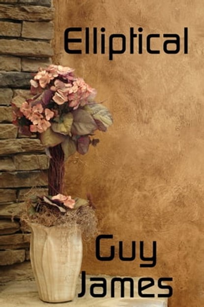 Elliptical: A Short Story, Guy James - Ebook - 9781466015937