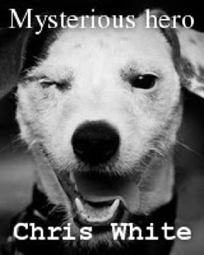Mysterious hero, Chris White - Ebook - 9781466080188