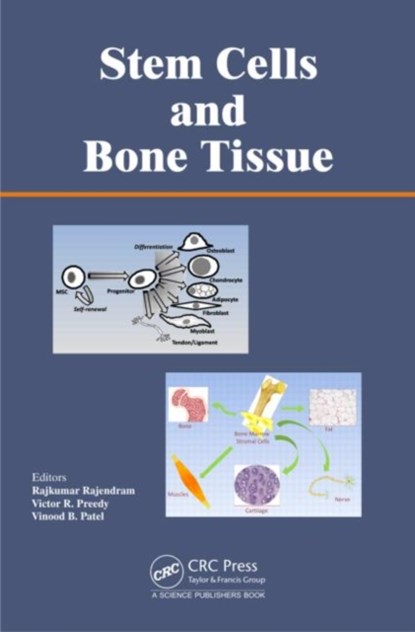 Stem Cells and Bone Tissue, RAJKUMAR RAJENDRAM ; VICTOR R. (KING'S COLLEGE,  London, UK) Preedy ; Vinood (University of Westminster, London, England, UK) Patel - Gebonden - 9781466578418