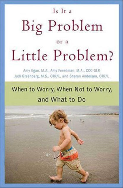 Is It a Big Problem or a Little Problem?, Amy Egan ; Amy Freedman ; Judi Greenberg ; Sharon Anderson - Ebook - 9781466842410