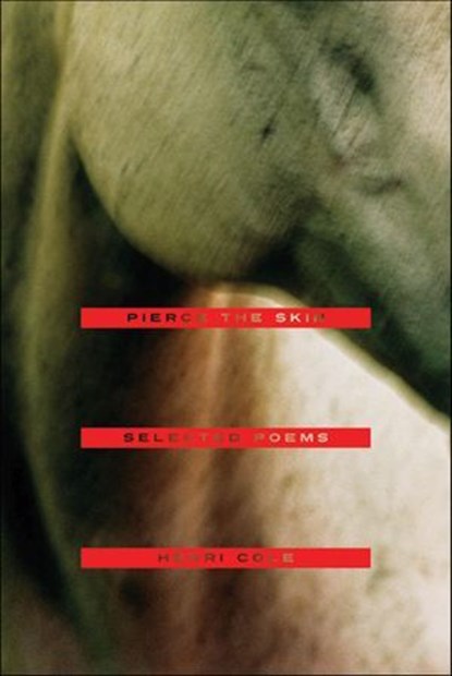 Pierce the Skin, Henri Cole - Ebook - 9781466877771