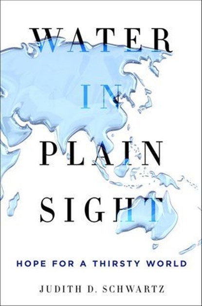Water in Plain Sight, Judith D. Schwartz - Ebook - 9781466879003