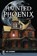 Haunted Phoenix, Debe Branning - Paperback - 9781467140928