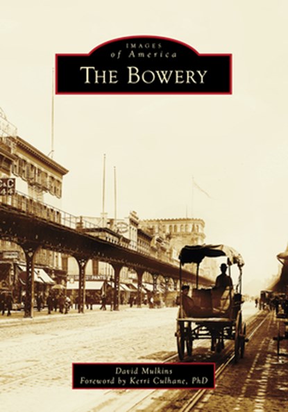 The Bowery, David Mulkins - Paperback - 9781467162067