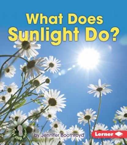 What Does Sunlight Do?, Jennifer Boothroyd - Paperback - 9781467744966