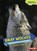 Gray Wolves, HIRSCH,  Rebecca E. - Paperback - 9781467760607