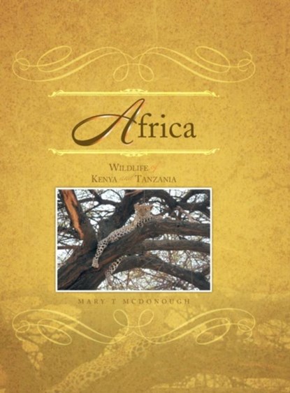 Africa, Mary T McDonough - Gebonden - 9781469138527