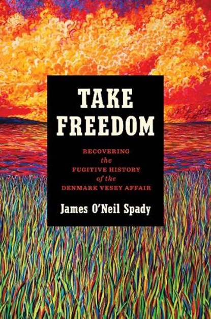 Take Freedom: Recovering the Fugitive History of the Denmark Vesey Affair, James O'Neil Spady - Paperback - 9781469686370