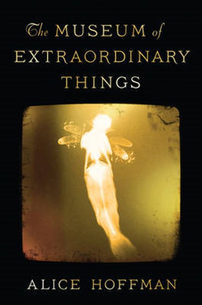 Museum of Extraordinary Things, Alice Hoffman - Paperback - 9781471134807