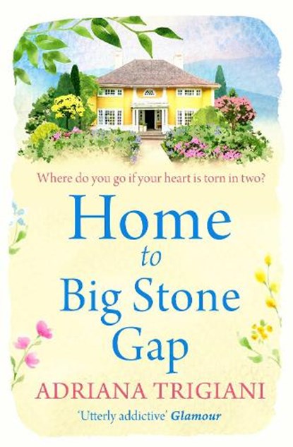 Home to Big Stone Gap, Adriana Trigiani - Paperback - 9781471148934