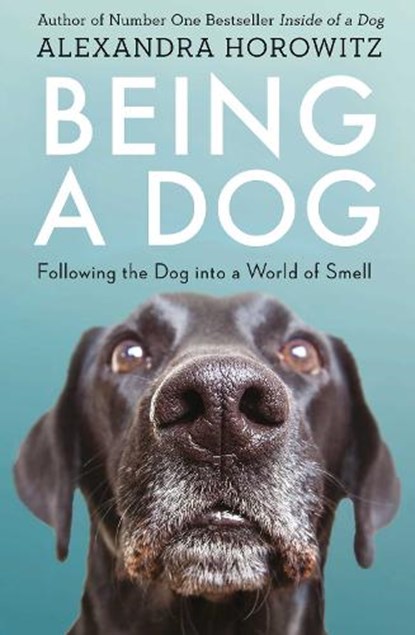 Being a Dog, Alexandra Horowitz - Paperback - 9781471159923