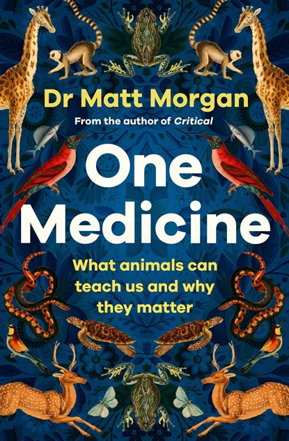 One Medicine, Dr Matt Morgan - Paperback - 9781471173103