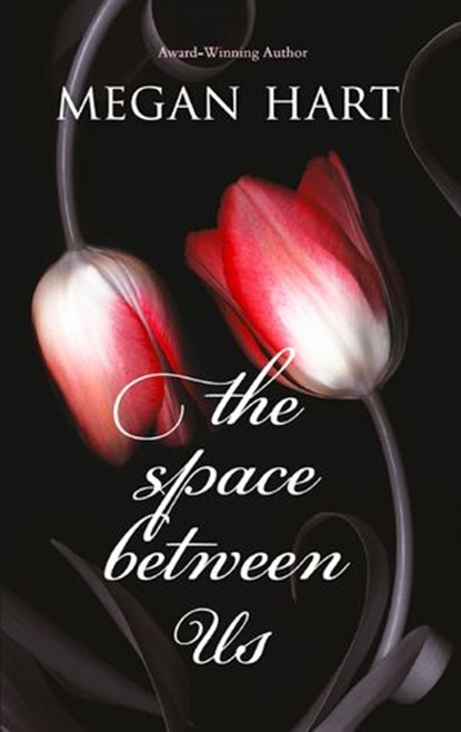 The Space Between Us, Megan Hart - Ebook - 9781472010773