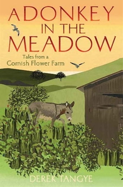 A Donkey in the Meadow, Derek Tangye - Ebook - 9781472110268
