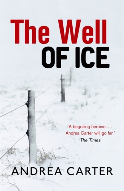 The Well of Ice, Andrea Carter - Paperback - 9781472125965