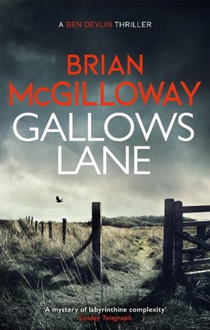 Gallows Lane, Brian McGilloway - Paperback - 9781472133328