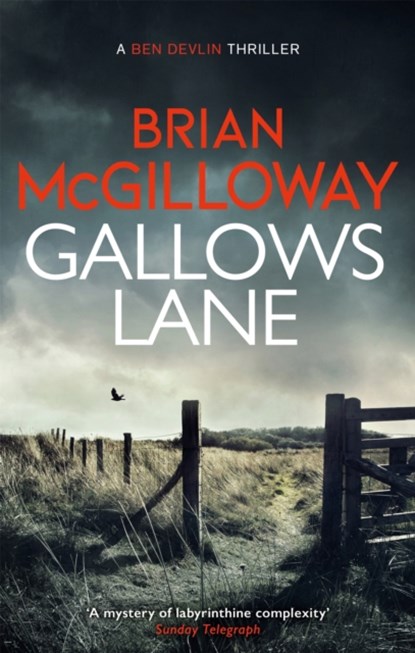 Gallows Lane, Brian McGilloway - Paperback - 9781472133328